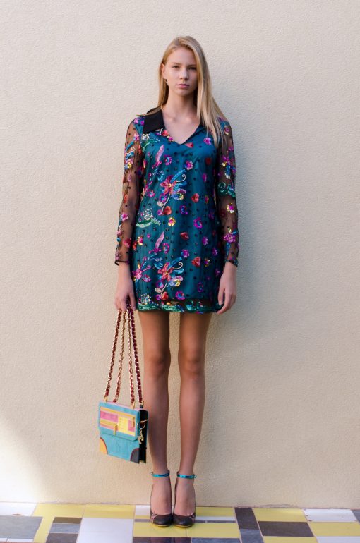 Transparent Guillemy dress